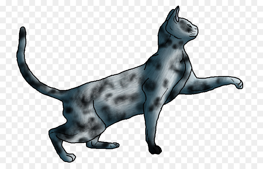 Bıyıkları，Kedi PNG