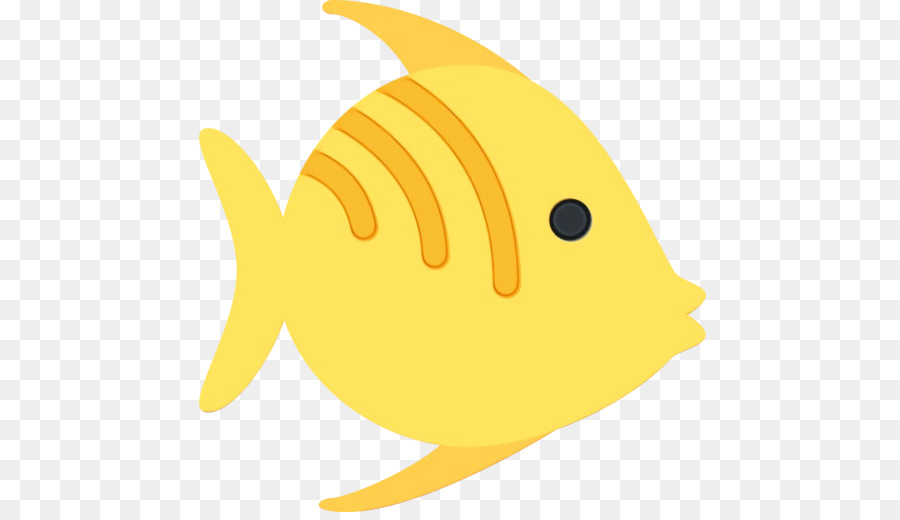 Sarı，Deniz Biyolojisi PNG
