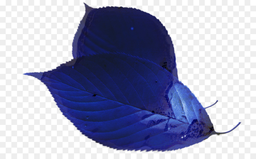 Kobalt Mavisi，Mavi PNG