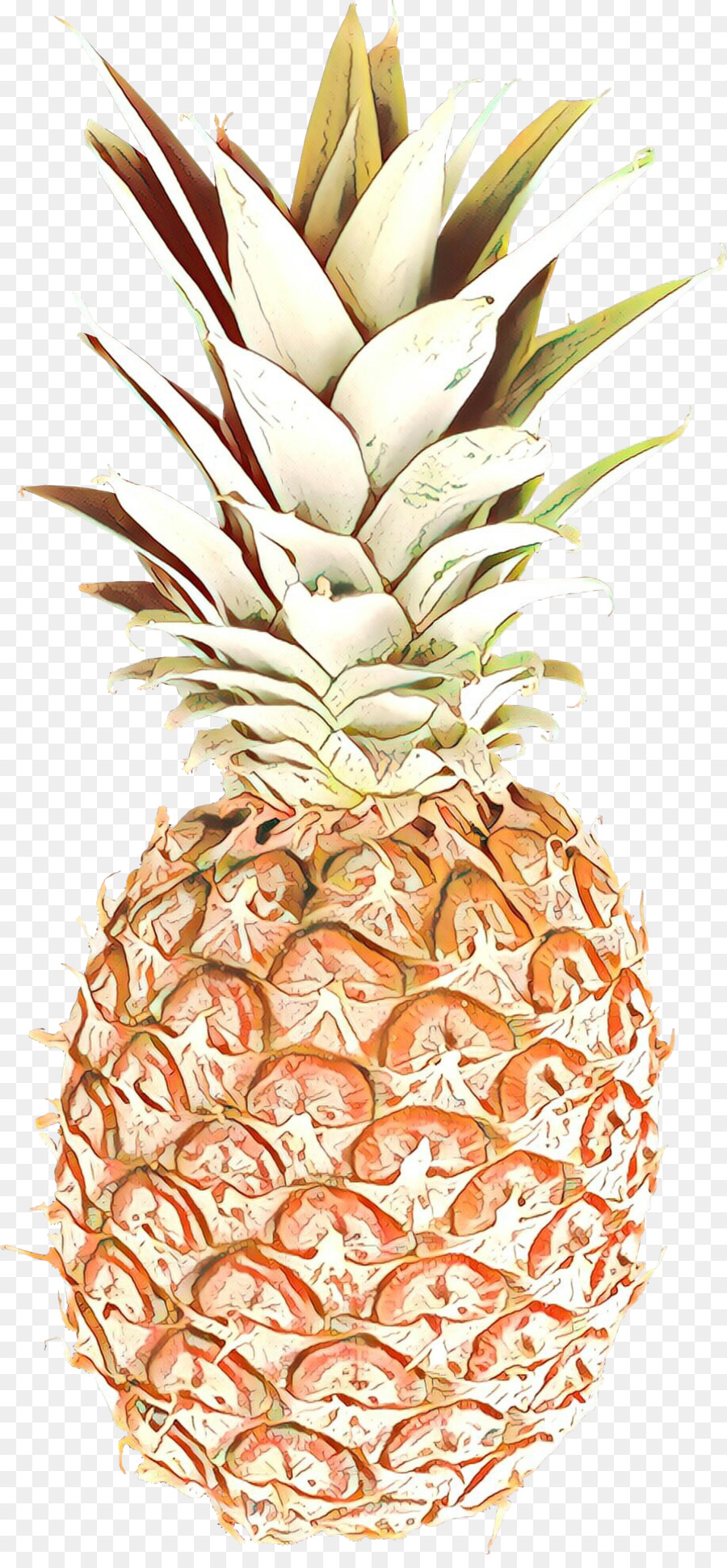 Ananas，Tropikal PNG