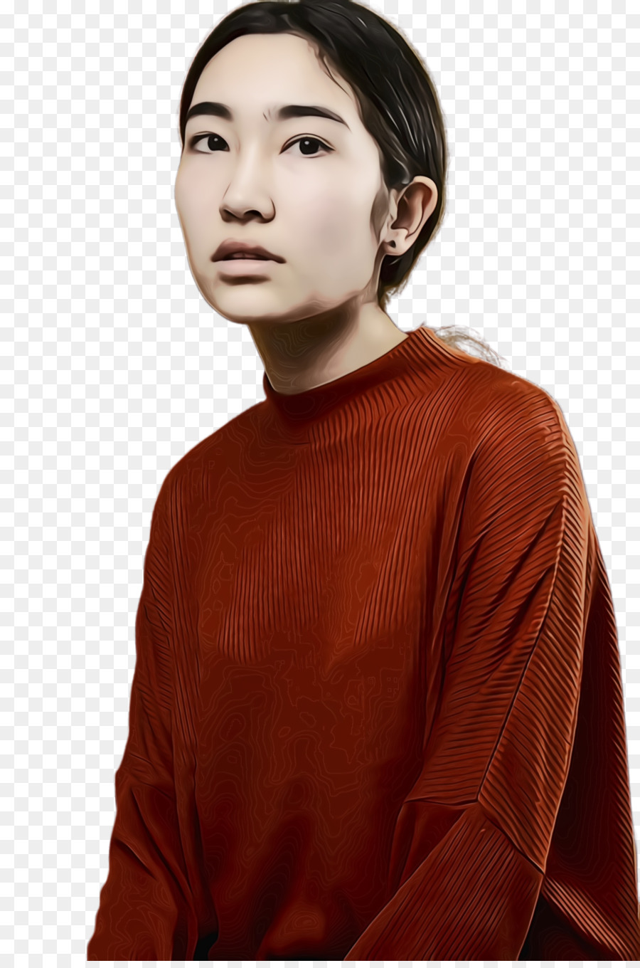 Moda，Modeli PNG