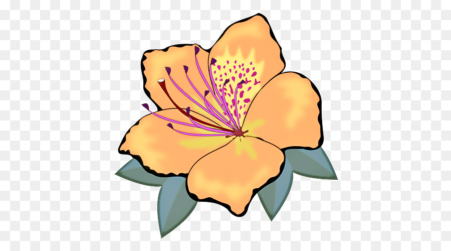 çiçek，çiçeği PNG