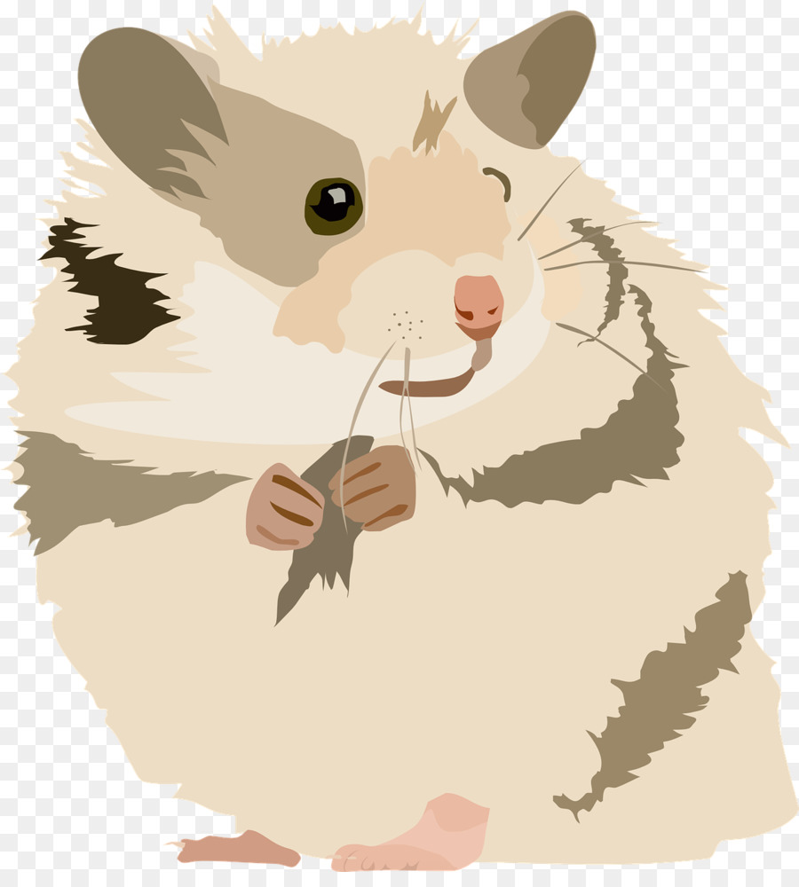 Kabarık Hamster，Kemirgen PNG