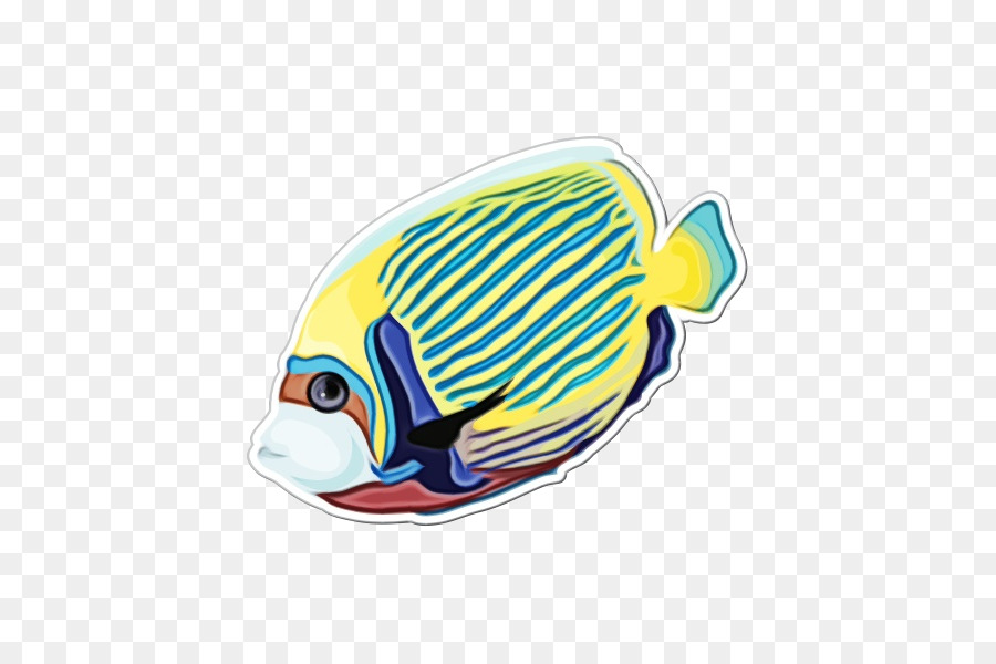 Balık，Tropikal Balık PNG