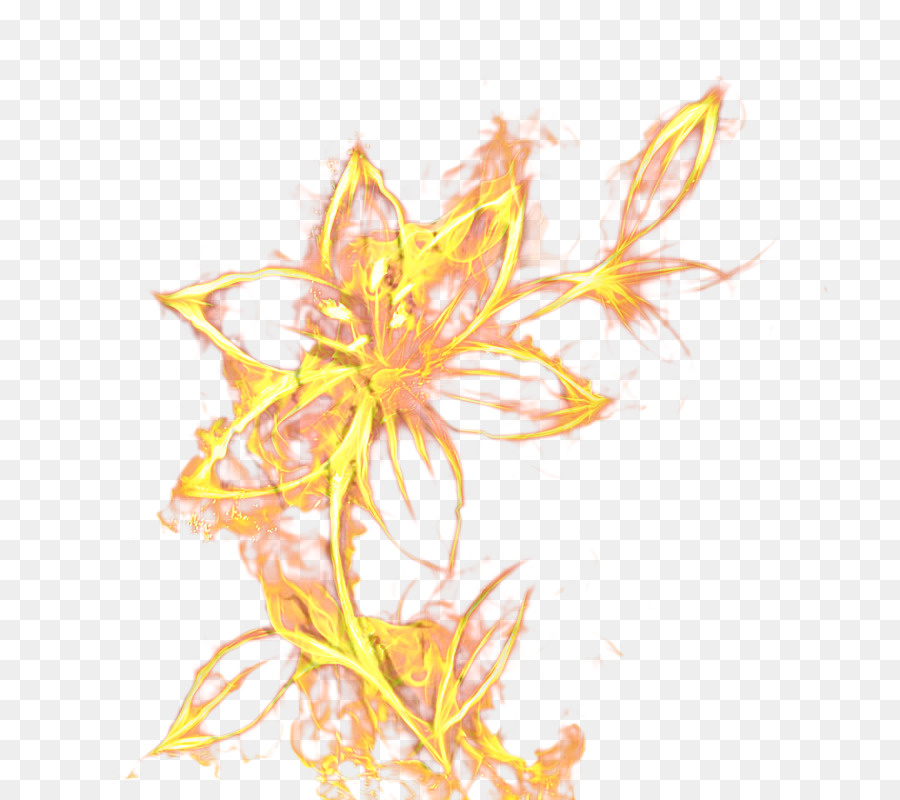 Sarı，çiçekli Bitki PNG