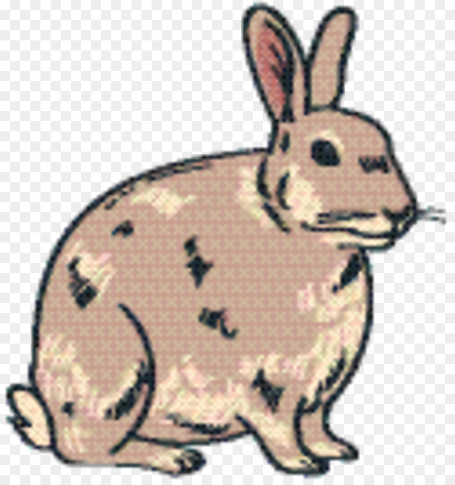 Yerli Tavşan，Fauna PNG