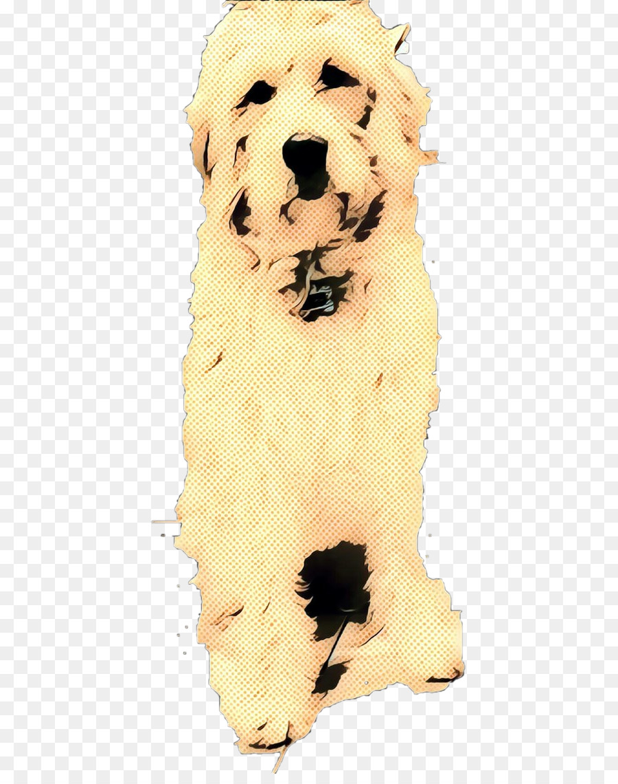 Golden Retriever，Köpek Yavrusu PNG