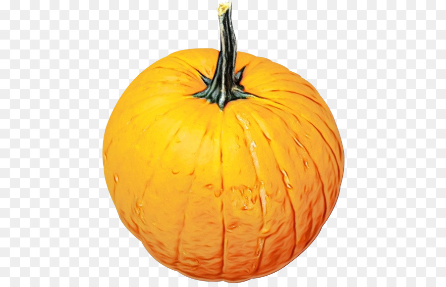 Jacköztern，Butternut Squash PNG