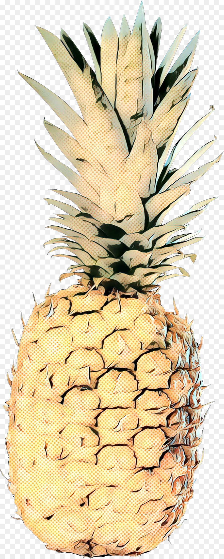 Mavi Ananas，Meyve PNG