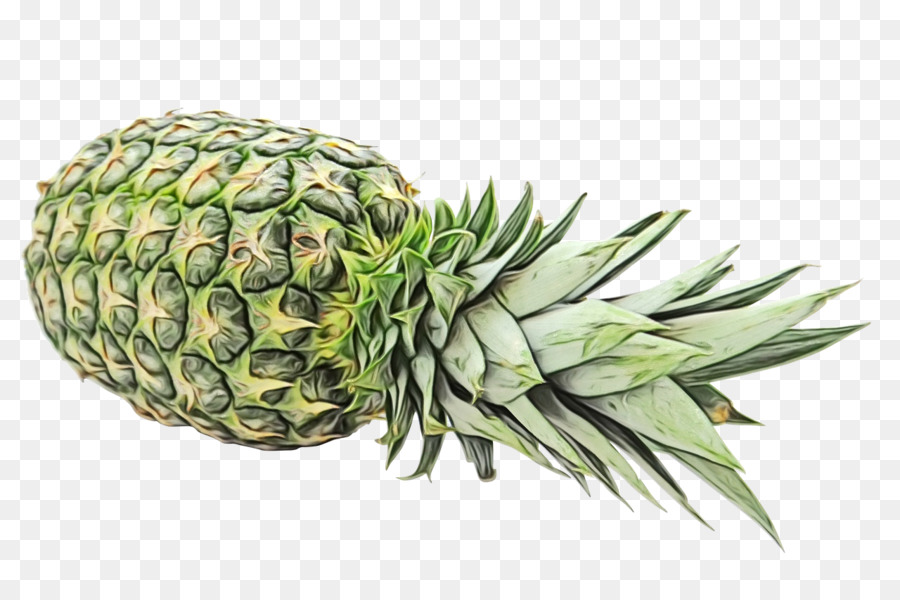 Ananas，Tropikal PNG