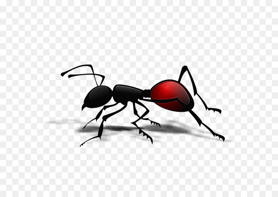 Karınca，Ortak Etki Alanı PNG