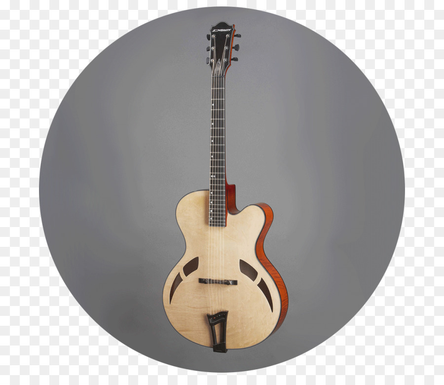 Akustik Gitar，Elektrogitar PNG