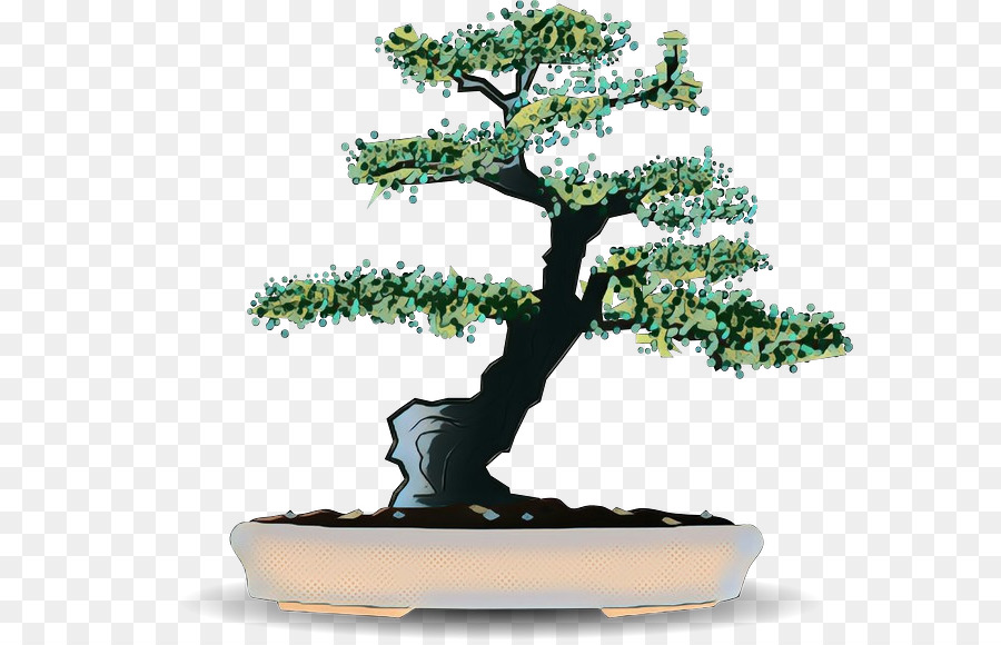 Bonsai Ağacı，Bitki PNG