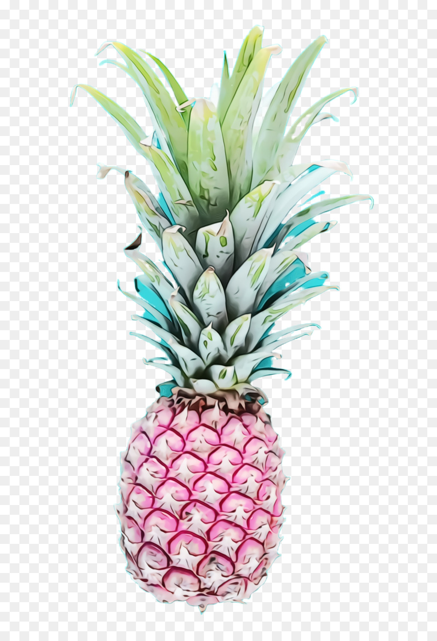 Mavi Ananas，Meyve PNG