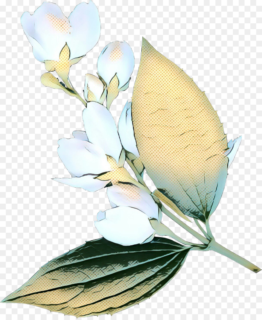 çiçek Tasarımı，Gül PNG