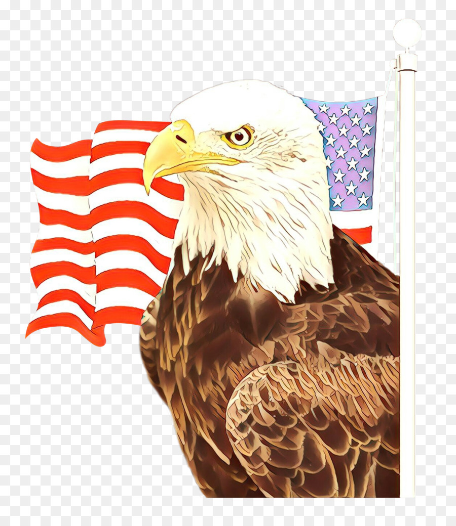 Amerikan Bayrağı Ve Kartal，Ulusal Sembol PNG