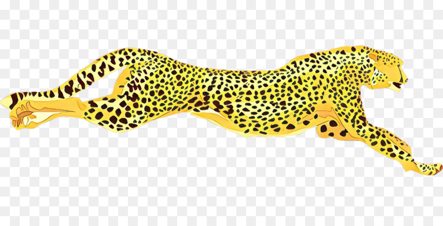 çita，Jaguar PNG