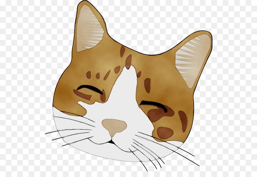 Bıyıkları，Kedi PNG