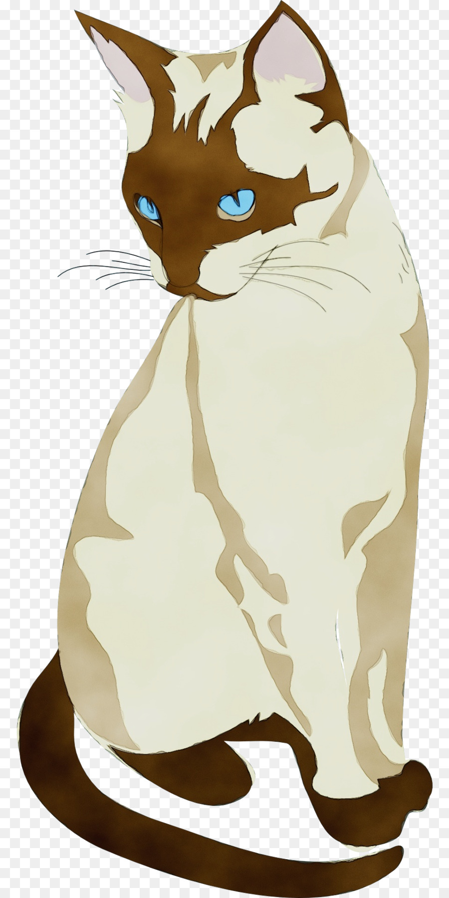 Kedi，Evcil Hayvan PNG