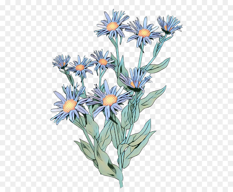 Daisy Aile，Alp Aster PNG