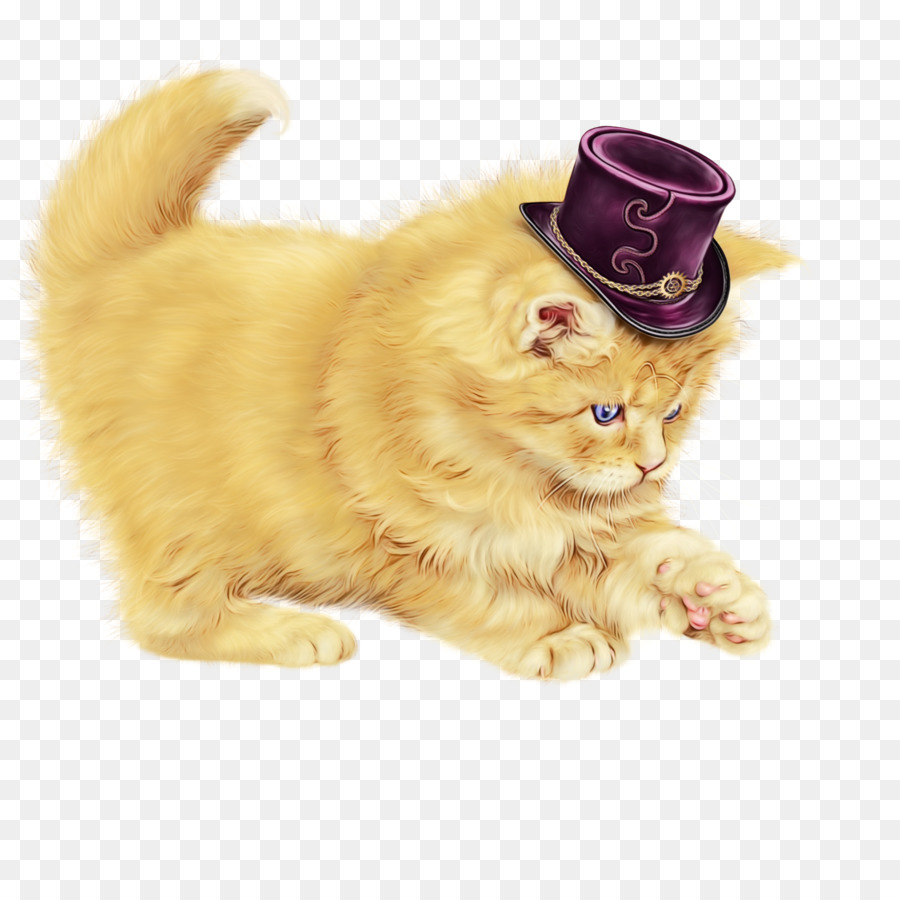 Bıyıkları，Kedi PNG