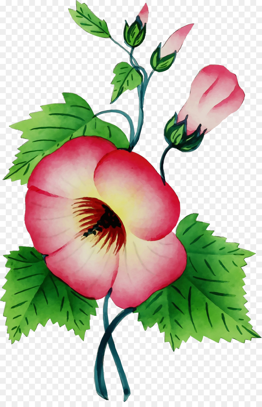 çiçek，Bitki Kök PNG