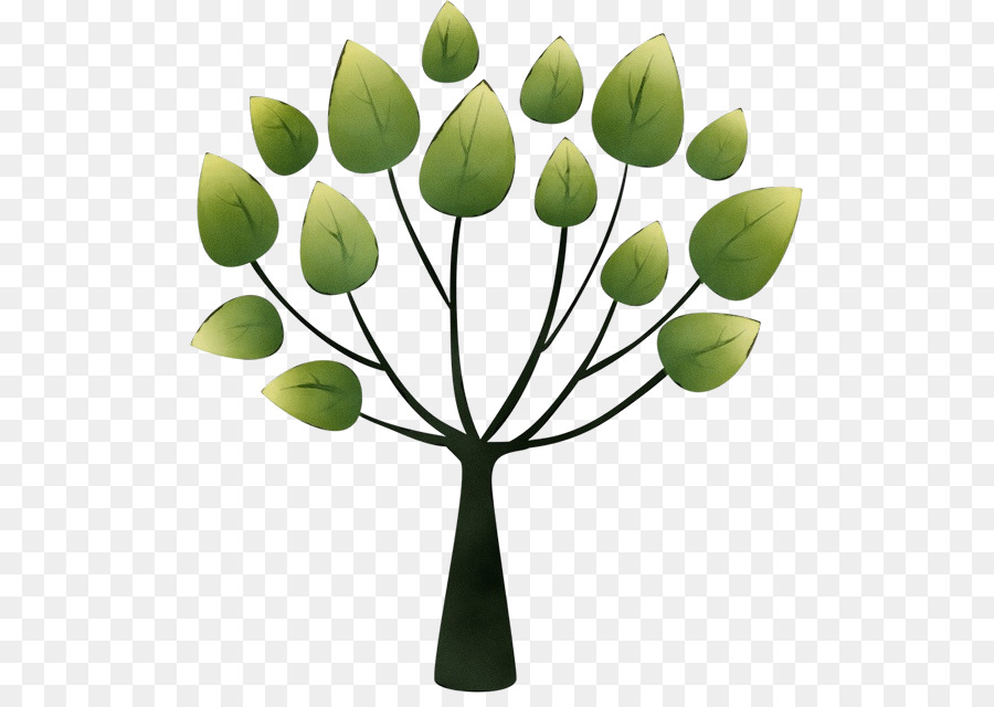 Ağaç，Schopp Beslenme Ve Kayropraktik Kliniği PNG