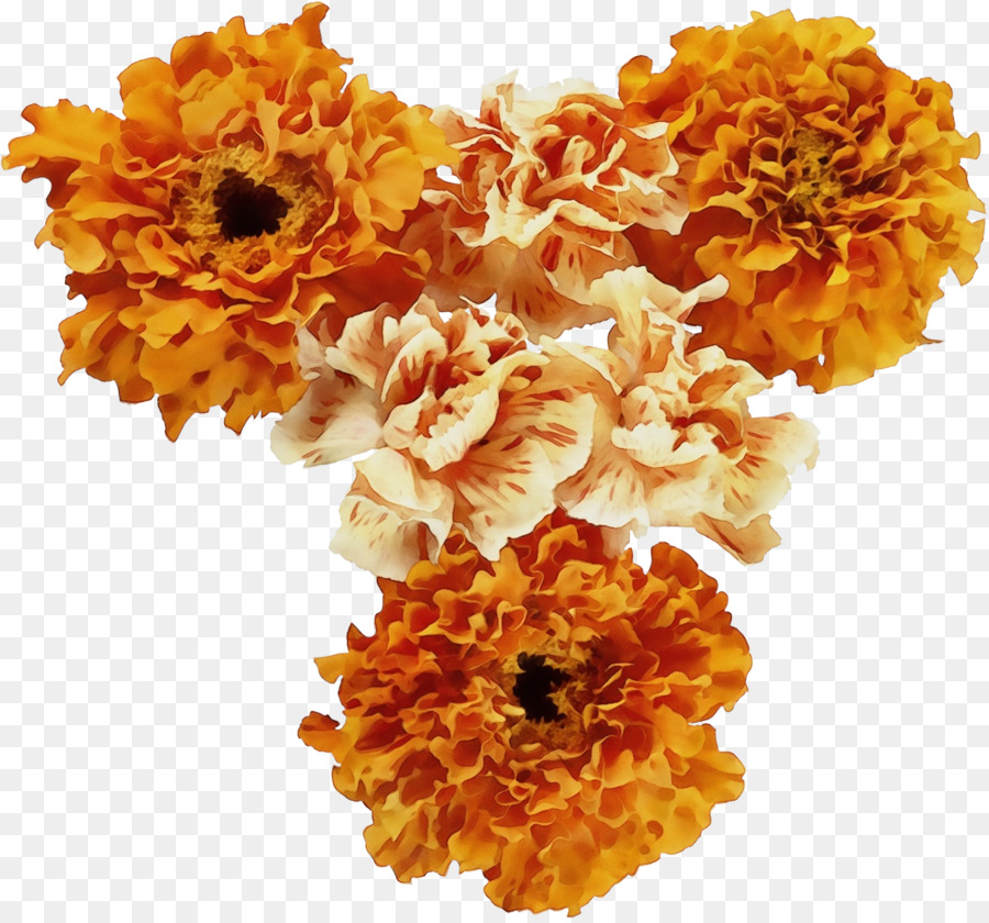 Tagetes，Sarı PNG