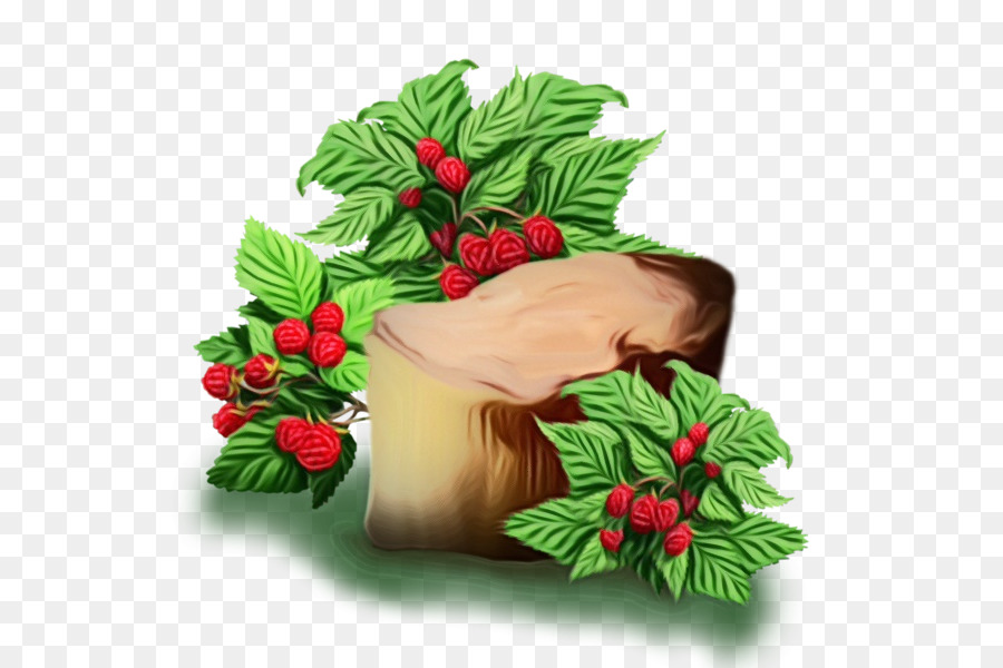 Holly，Bitki PNG