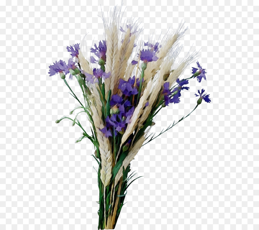 çiçek，çiçekli Bitki PNG