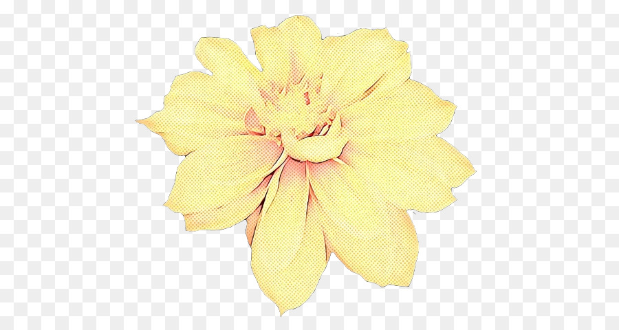 Sarı，Yaprağı PNG