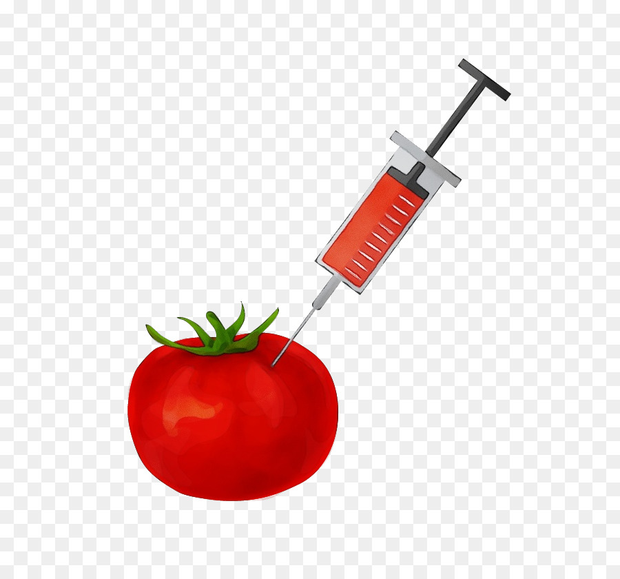 Solanum，Kırmızı PNG