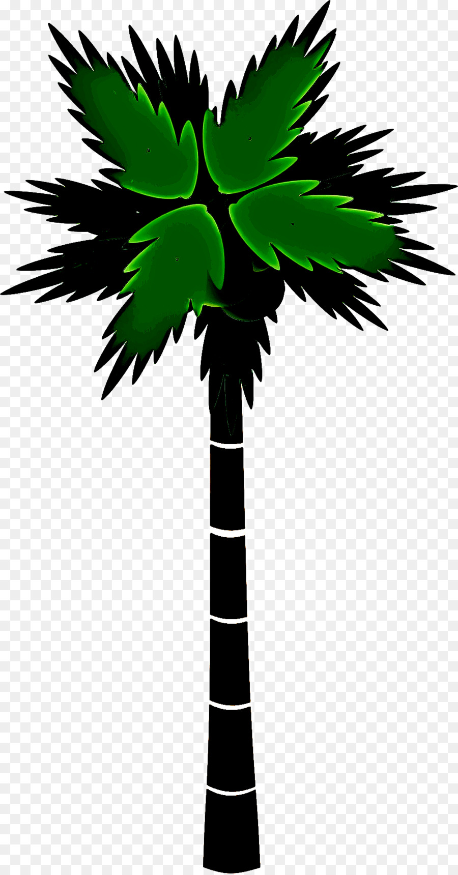 Ağaç，Palmiye Ağacı PNG
