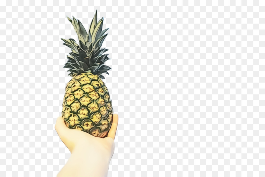 Ananas，Meyve PNG