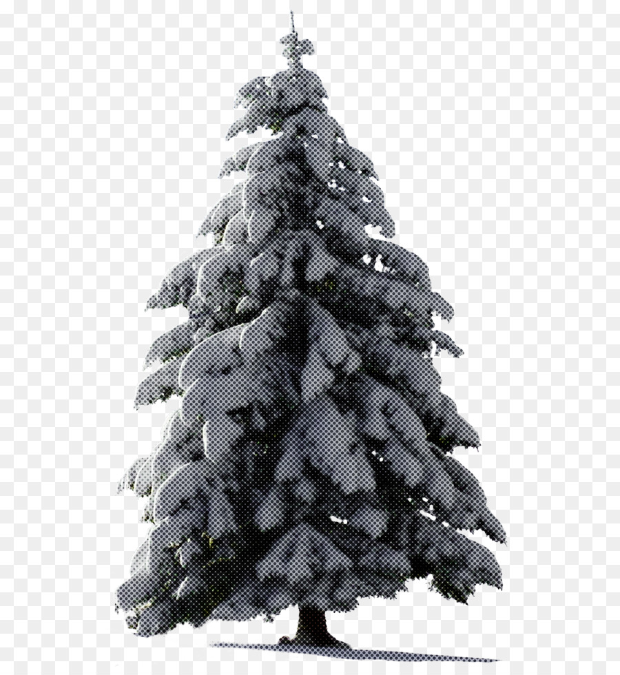 Karlı Noel Ağacı，Kar PNG