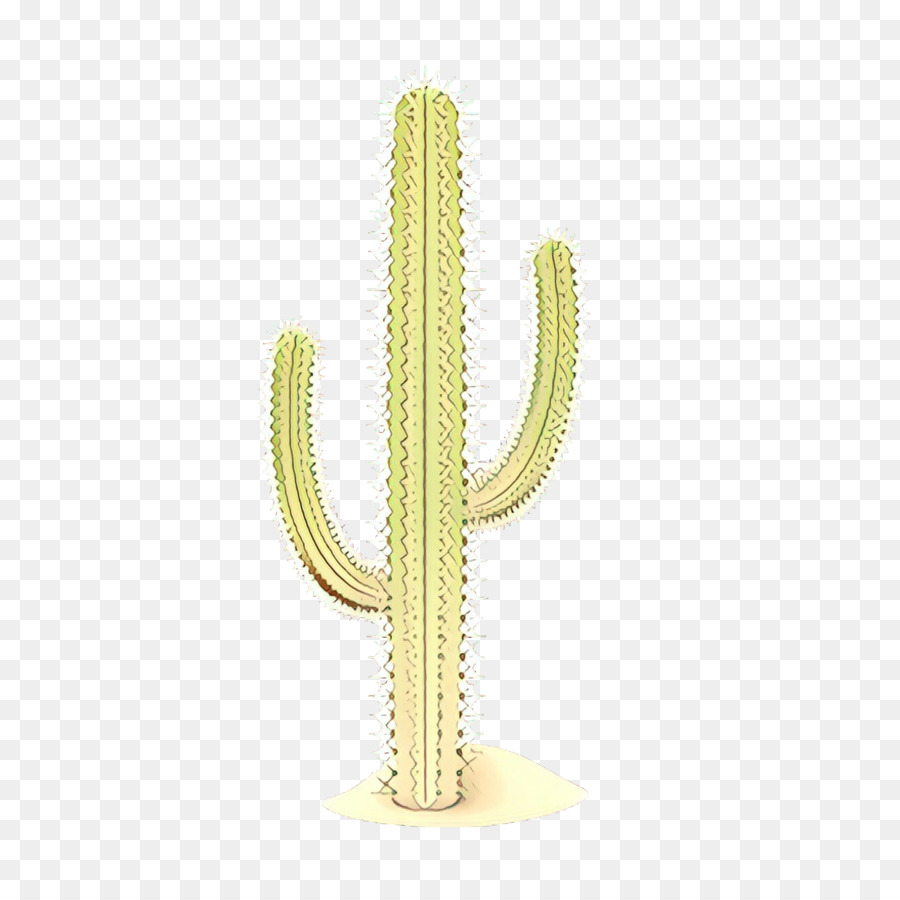 Kaktüs，Saguaro PNG