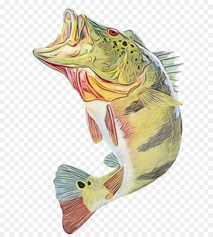 Balık，Bas PNG