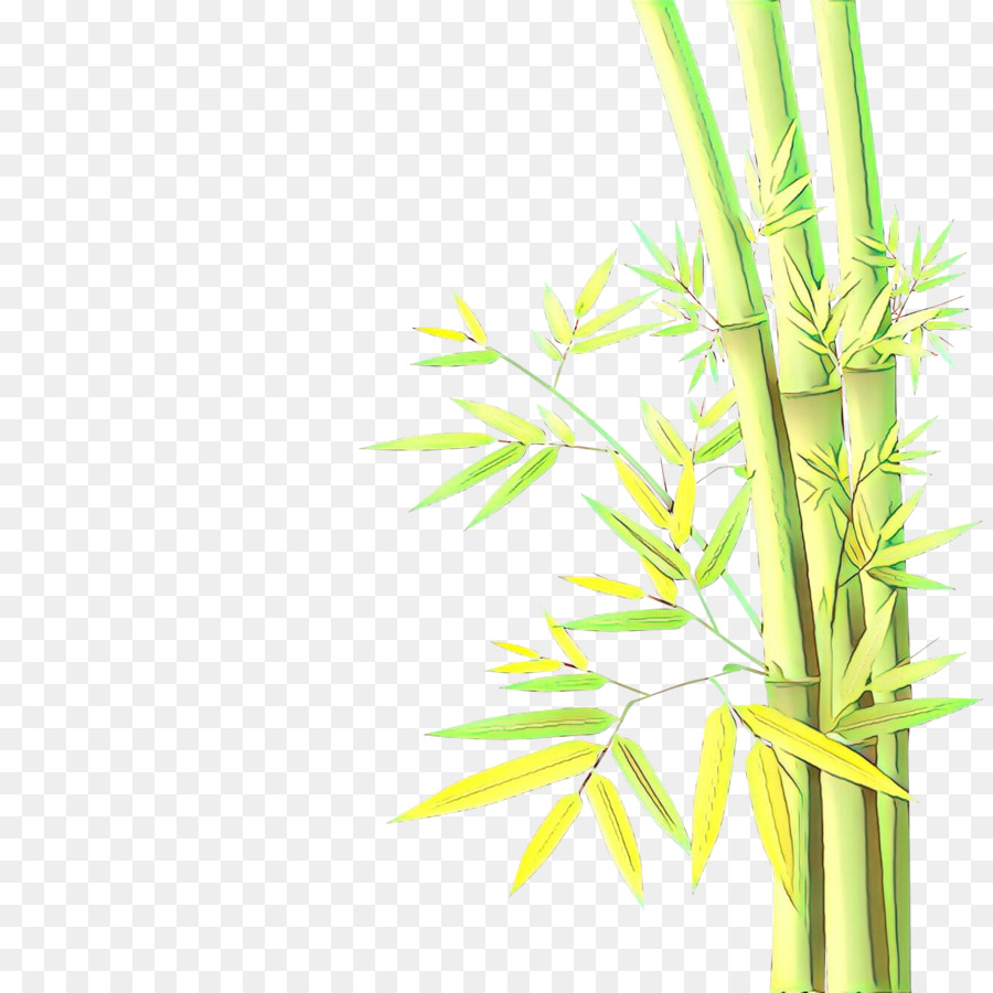 Bambu çerçeve，çiçekler PNG