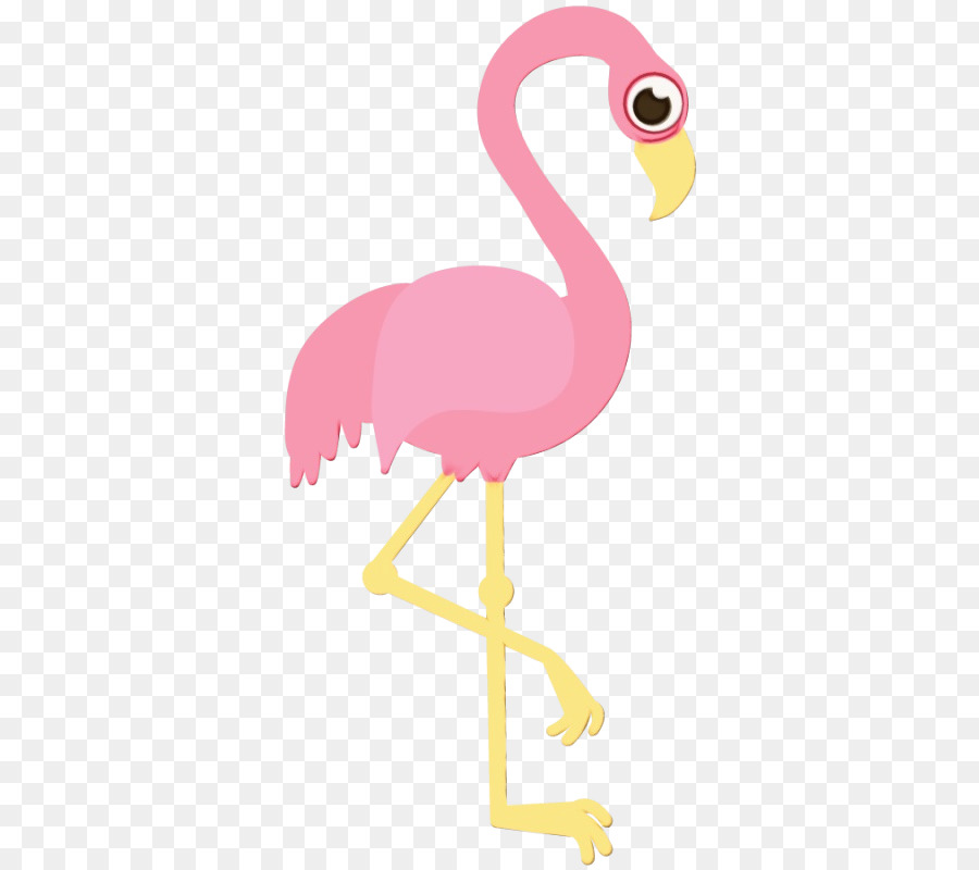 Kuş，Daha Büyük Flamingo PNG