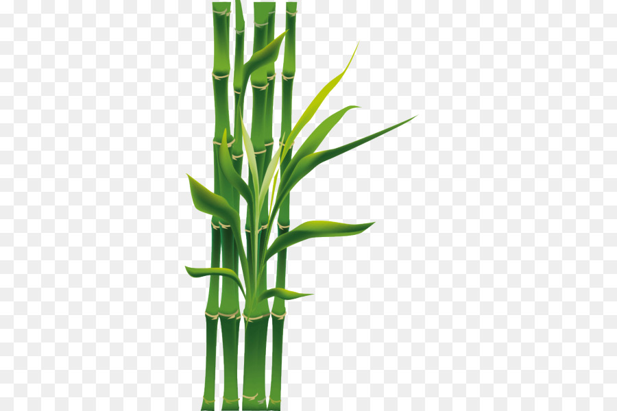 Bambu çerçeve，çiçekler PNG