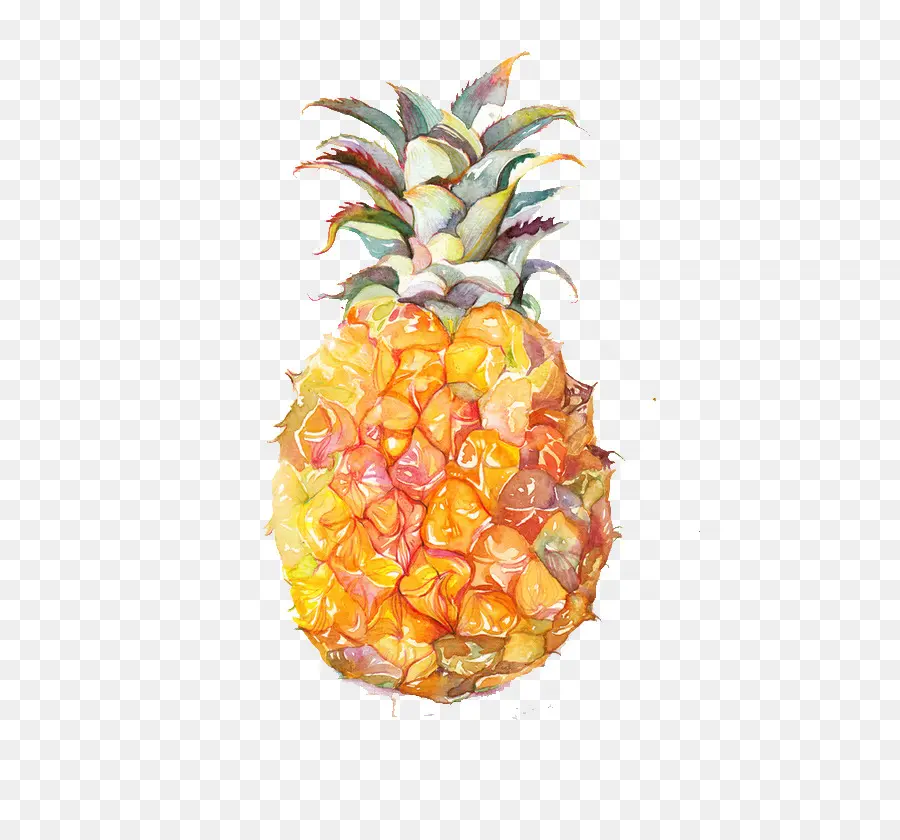 Ananas，Meyve PNG