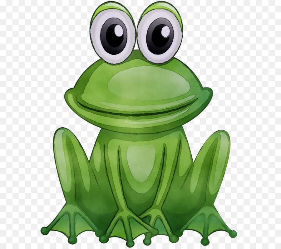 Yeşil，Kurbağa PNG