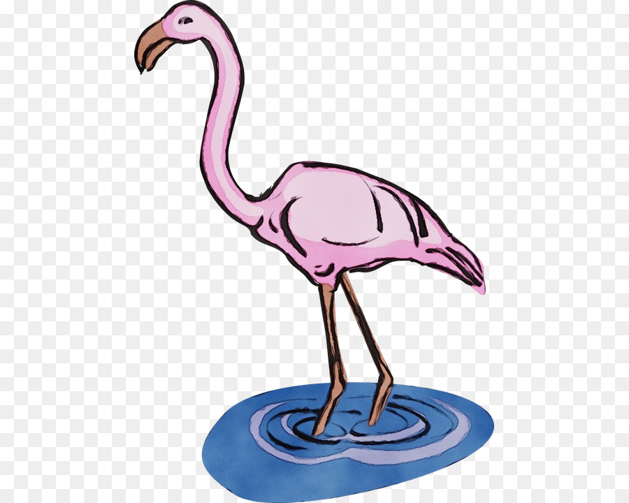 Flamingo，Kuş PNG