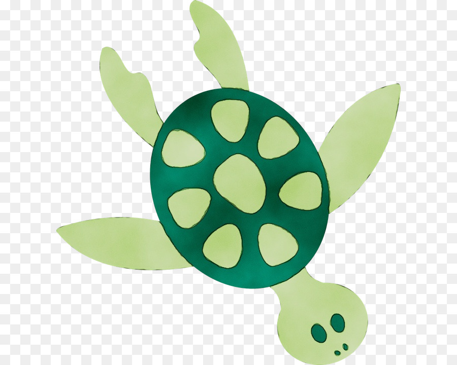 Yeşil，Deniz Kaplumbağası PNG