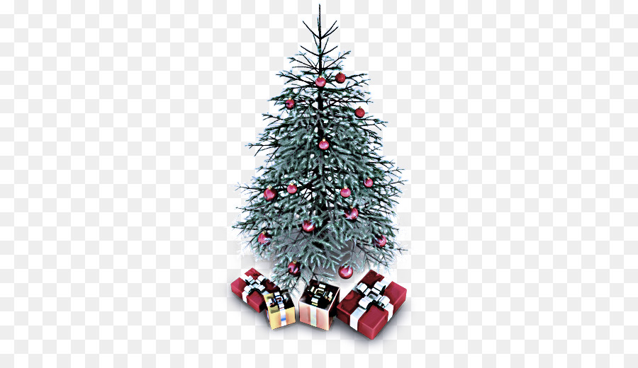Noel Ağacı，Colorado Ladin PNG