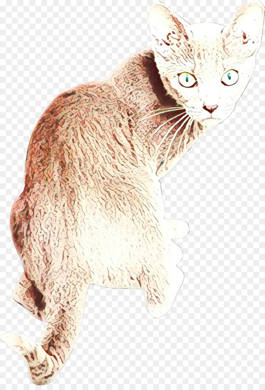 Kedi，Küçük Ve Orta ölçekli Kediler PNG