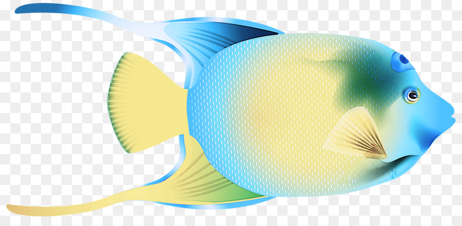Sarı，Balık PNG