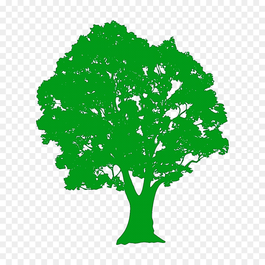 Yeşil，Ağaç Bayramı PNG