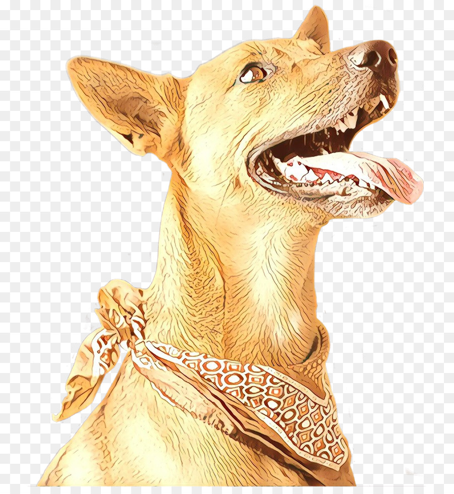 Köpek，Muhbir PNG