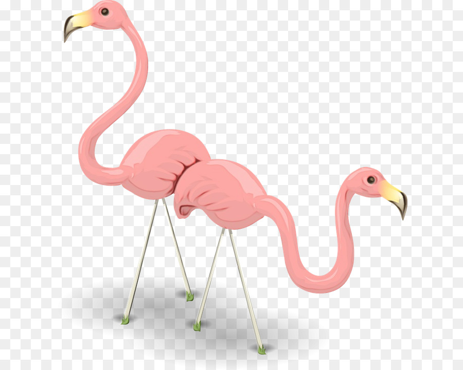 Flamingo，Kuş PNG